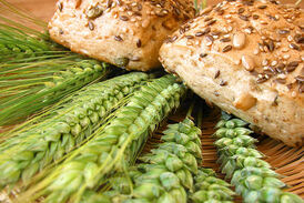 Coenzym Q10 – Hype oder Hilfe?