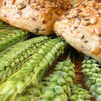 Coenzym Q10 – Hype oder Hilfe?