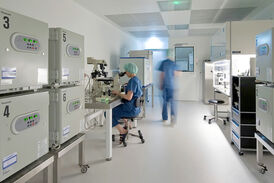 Reinraumlabor. Warum die Luftqualität für die Entwicklung der Embryonen wichtig ist.